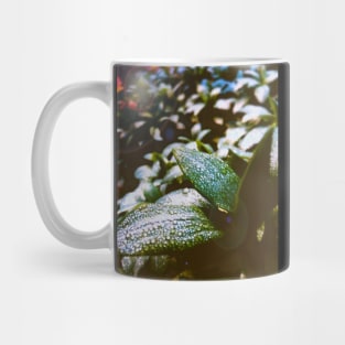 Morning Dew Mug